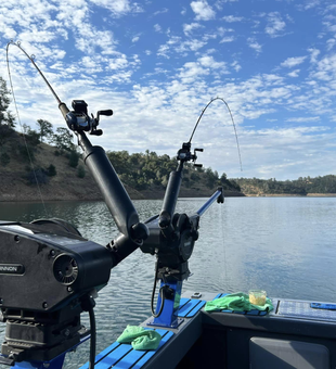 Quality fishing rod for every anglers in CA!